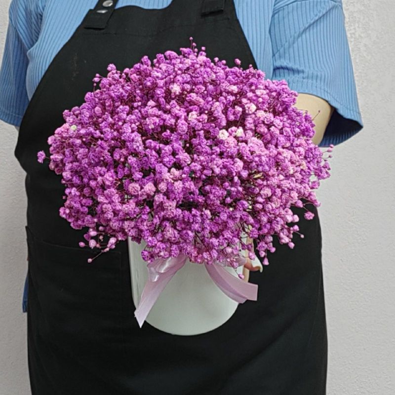 Композиция из стабилизированной гипсофилы 