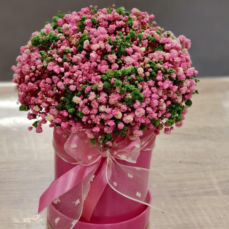 Композиция из стабилизированной гипсофилы 