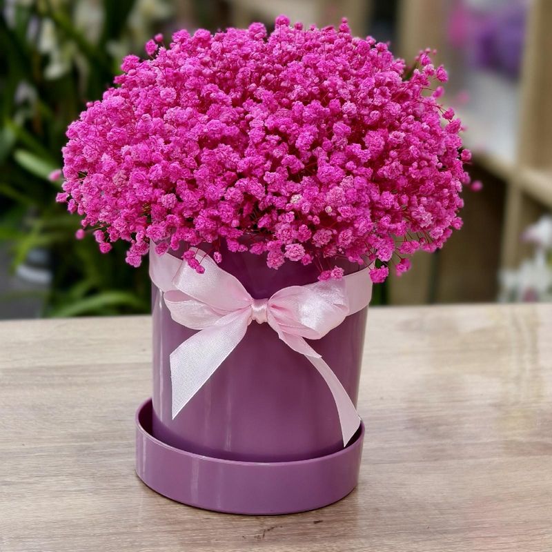 Композиция из стабилизированной гипсофилы 