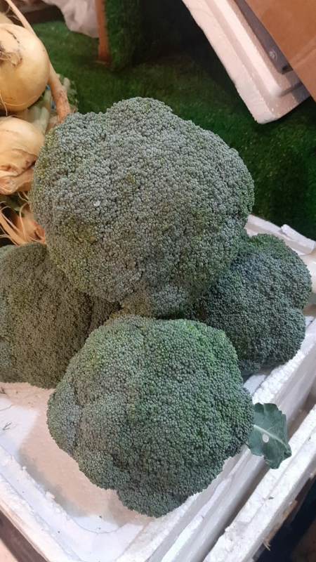 Капуста Брокколи 