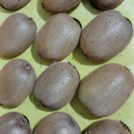 Киви 