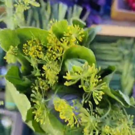 Набор для засолки, 5 шт 