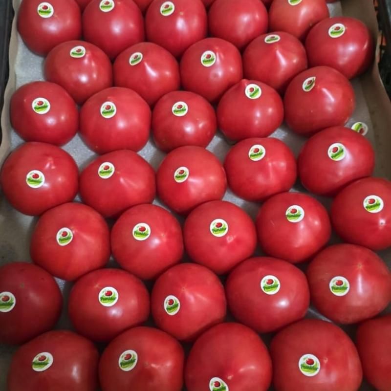 Помидоры Туркмения 