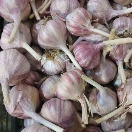 Чеснок 