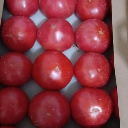 Помидоры Азербайджан 