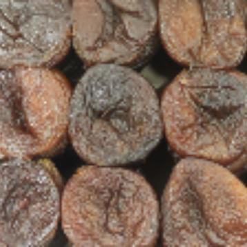 Курага шоколадная 