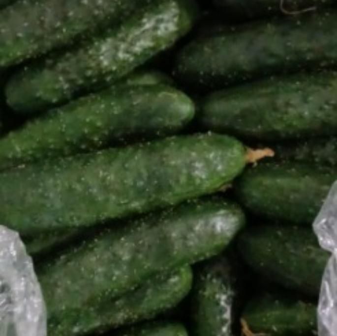 Огурцы Иран 