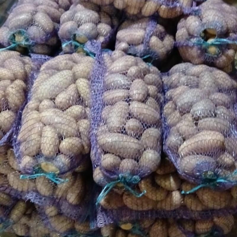 Картофель Египет, 5-6 кг в мешке 
