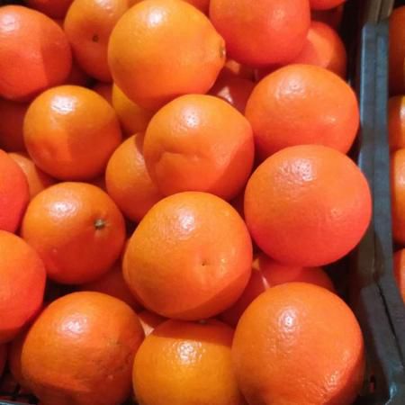 Минеола, 5 кг 