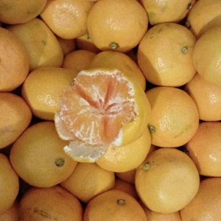 Мандарин Турция 