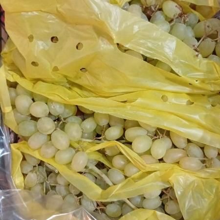 Киш-миш зеленый 