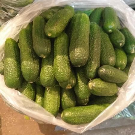 Огурцы Луховицкие 