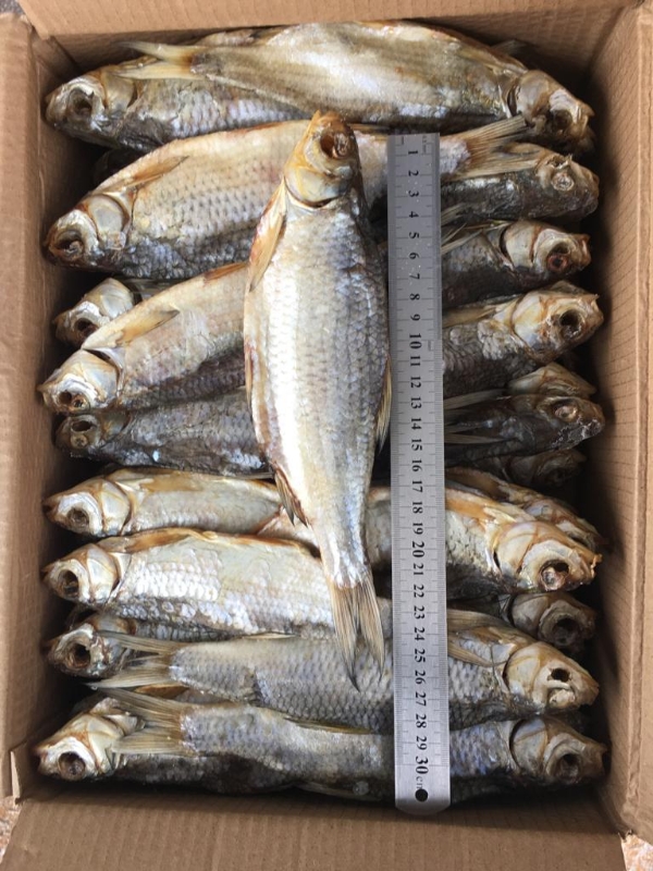 Вобла вяленая, Астрахань, крупная, с икрой 