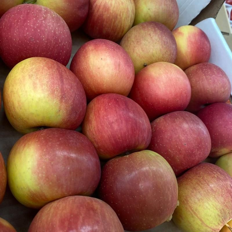 Яблоки фуджи 