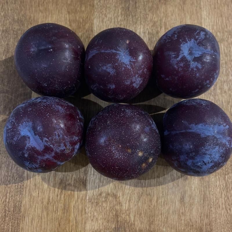 Слива красная 