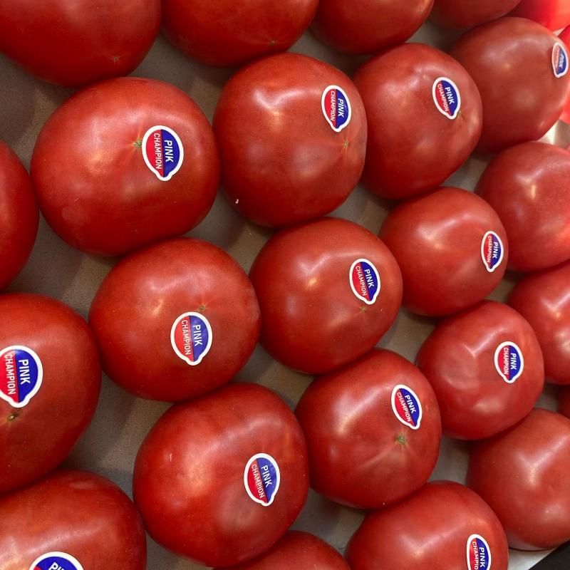 Помидоры Азербайджан 