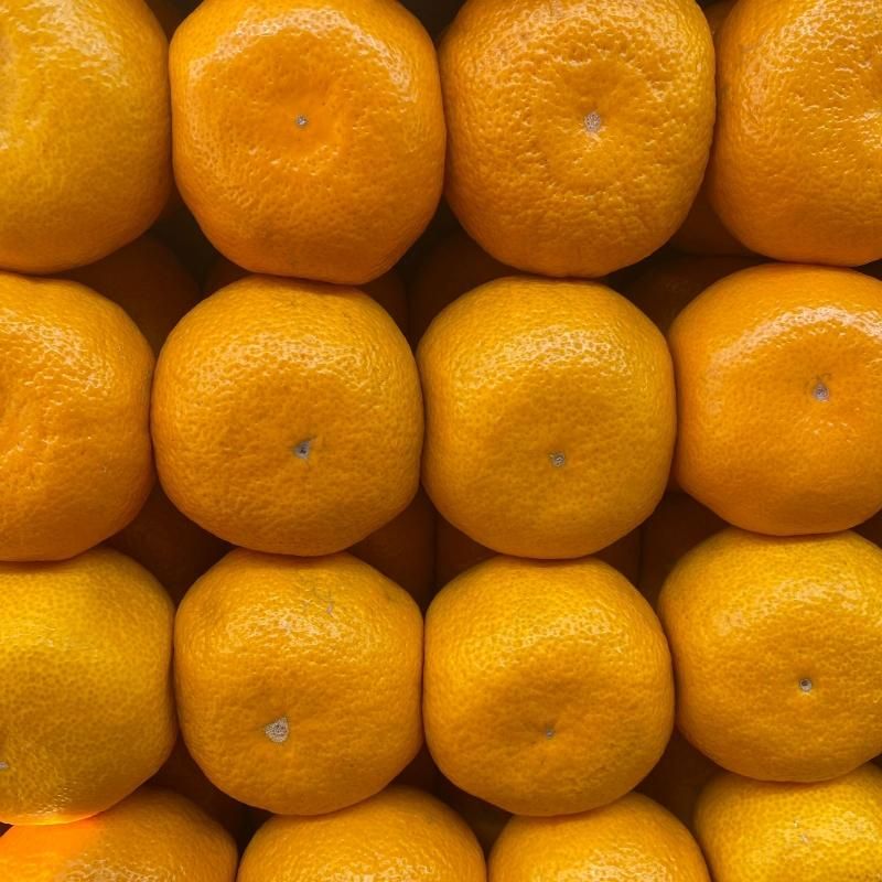 Мандарины Абхазия 