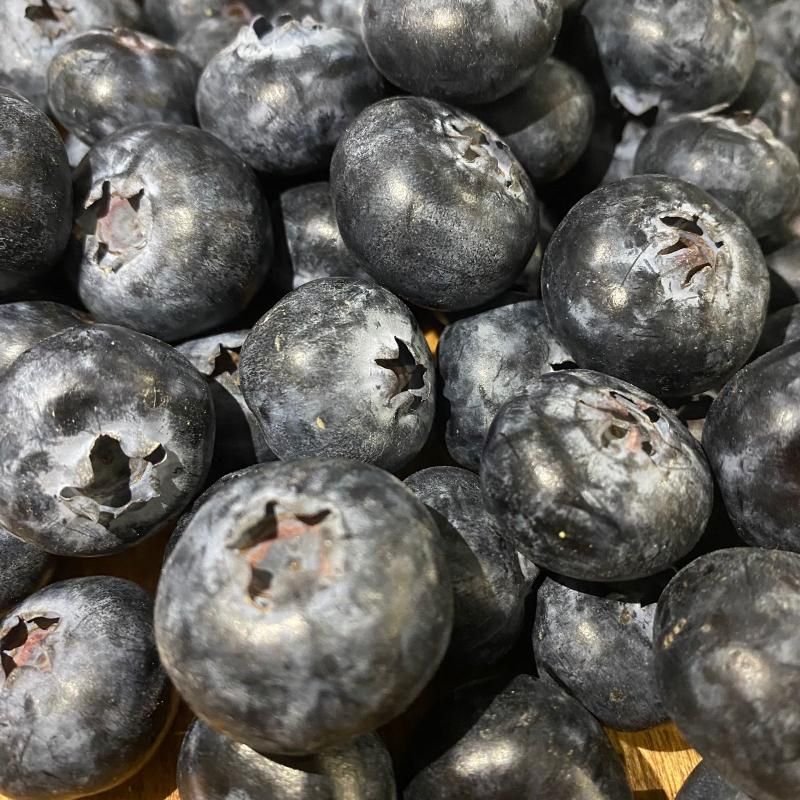 Голубика крупная 