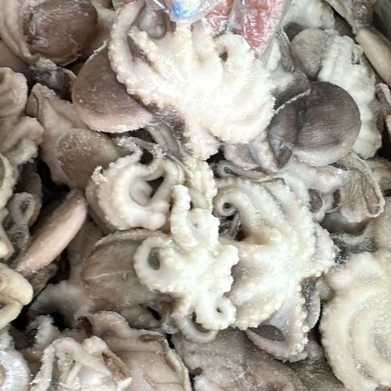 Осьминожки бэби🐙Тихоокеанские 