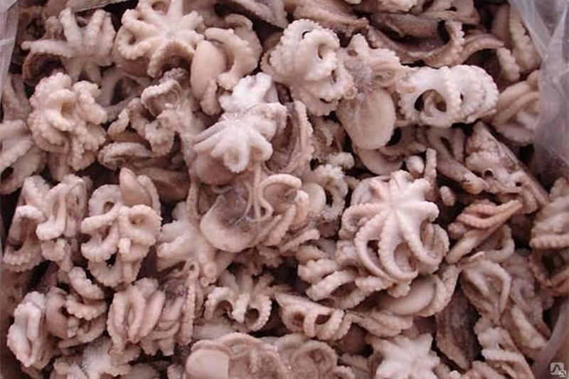 🦑ОСЬМИНОГИ МИНИ🦑 