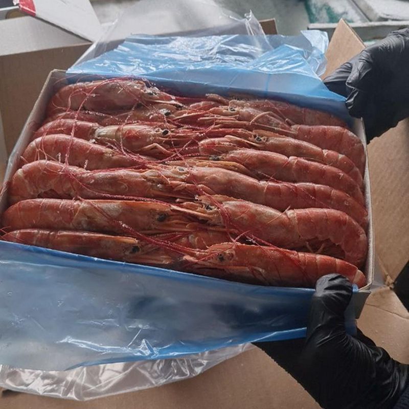 *Лангустины L1* крупные, с головой🌟 