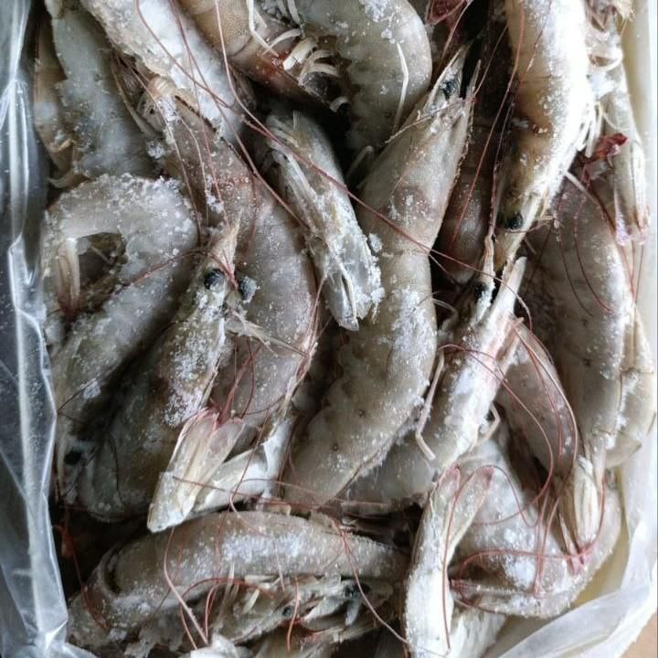 КРЕВЕТКА ТИГРОВАЯ ИРАН 