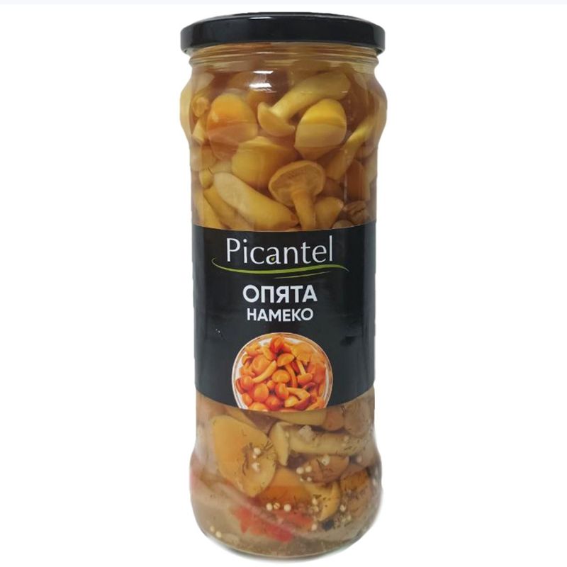 ОПЯТА НАМЕКО 