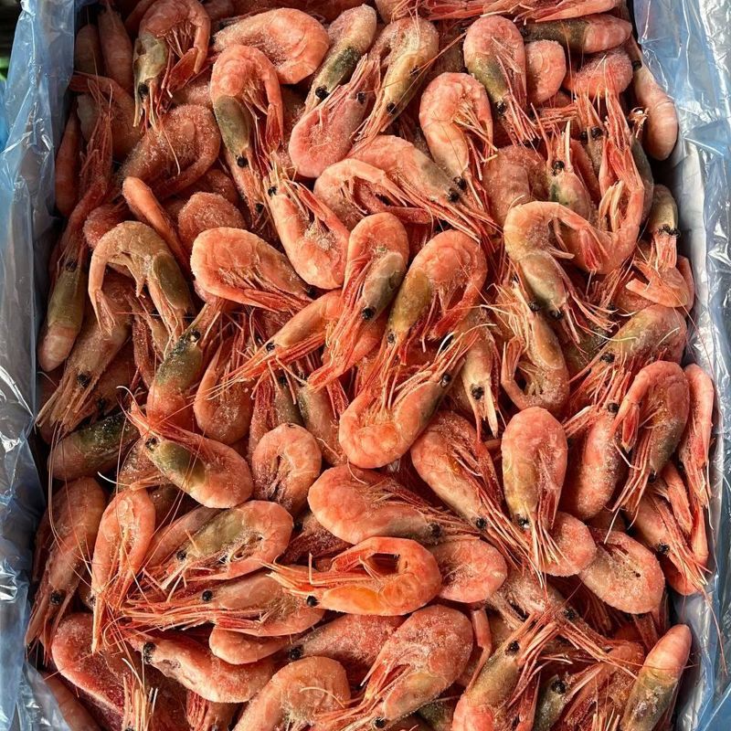 КРЕВЕТКА СЕВЕРНАЯ 120+ 