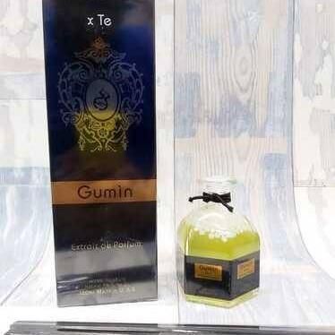 Аромадиффузор NEW (LUX) - Tiziana Terenzi Gumin 100 мл 