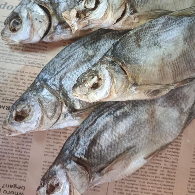 Лещ Астраханский 