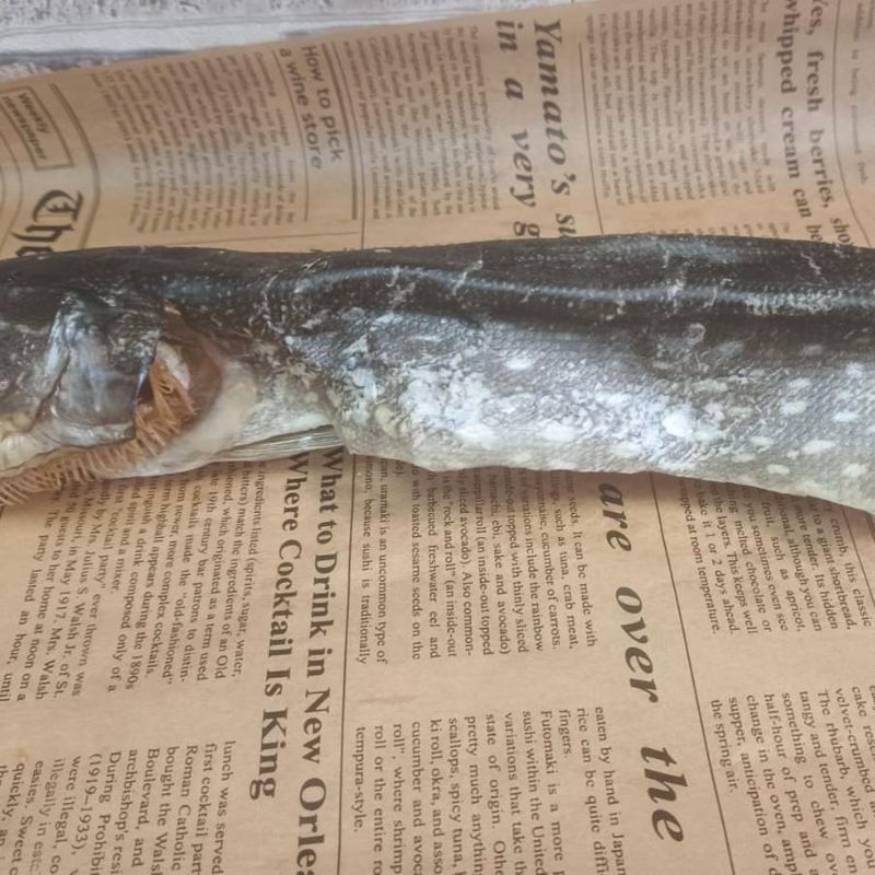 Щука вялена 1 шт 