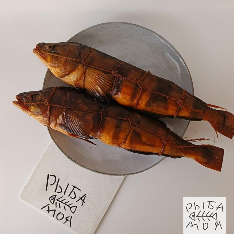 Терпуг г/к 