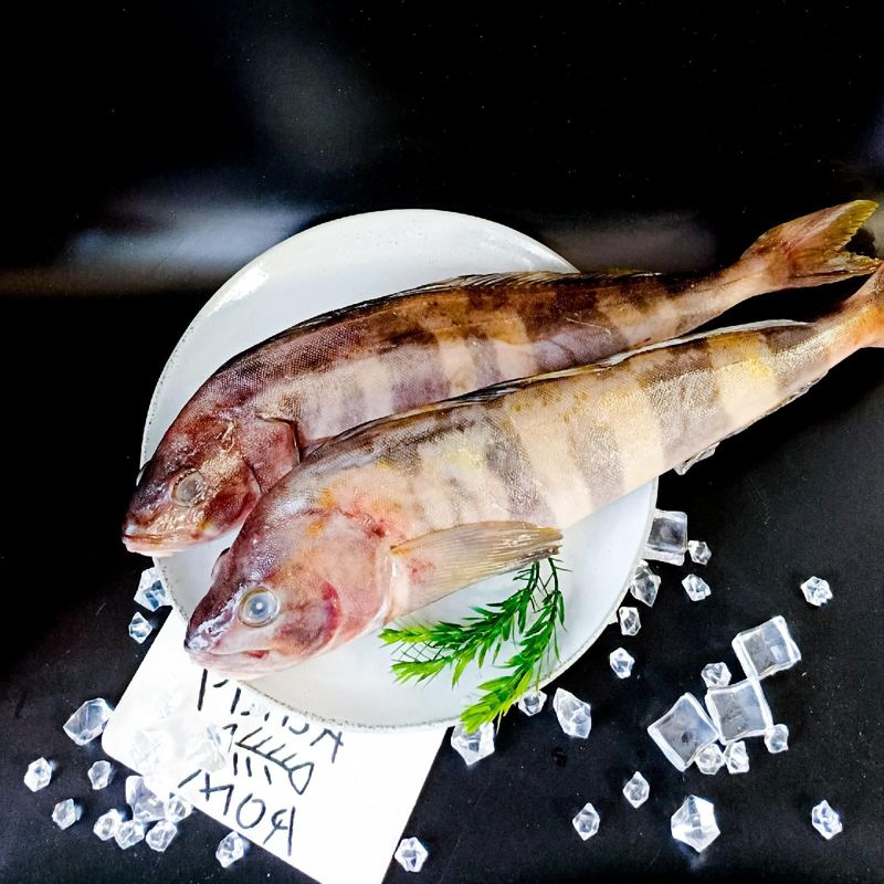 Терпуг тушка с/м 