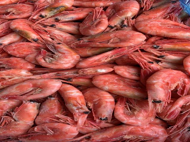 Креветка 50/70 магаданрыба 