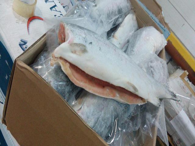 Форель 1,8-2,7 кг 