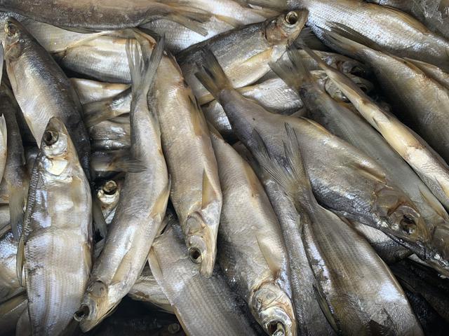 Пелядь вяленая 