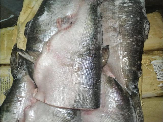 Кета потрошеная без головы 1,5-2,5кг рыбка 