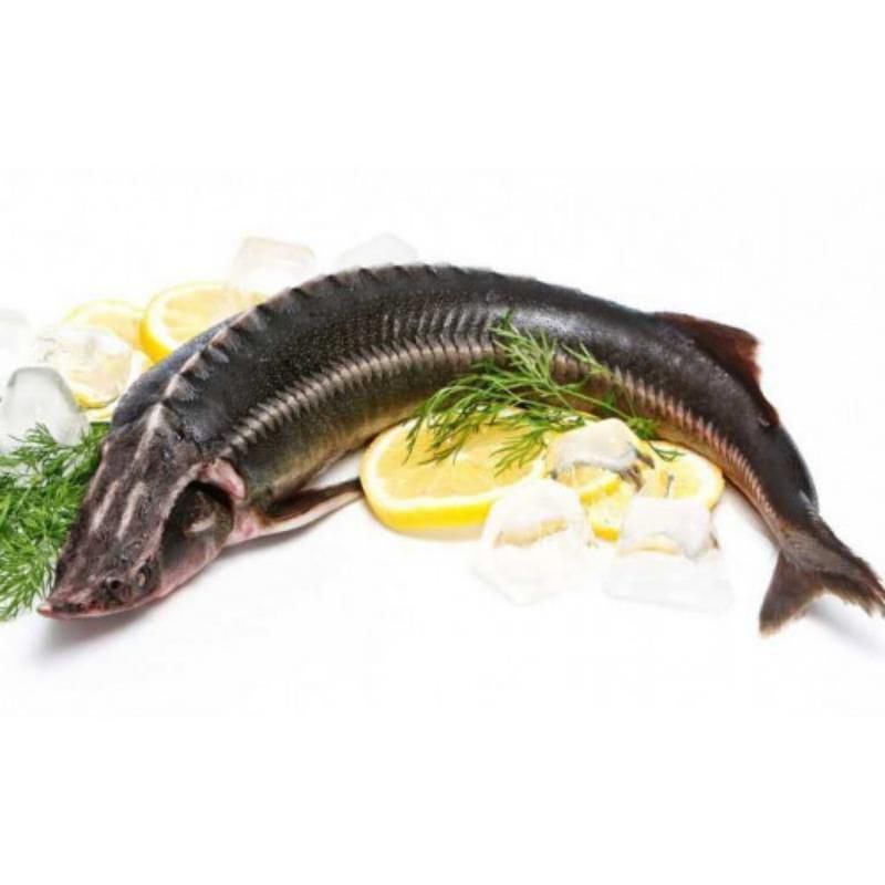 БЕЛУГА😍😍😍 