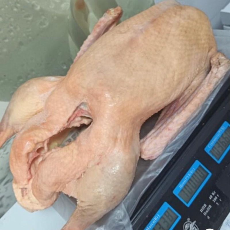 Гусь домашний, Тамбовская область, 3.5-5 кг 