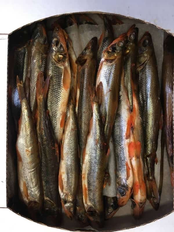 Корюшка х/к 