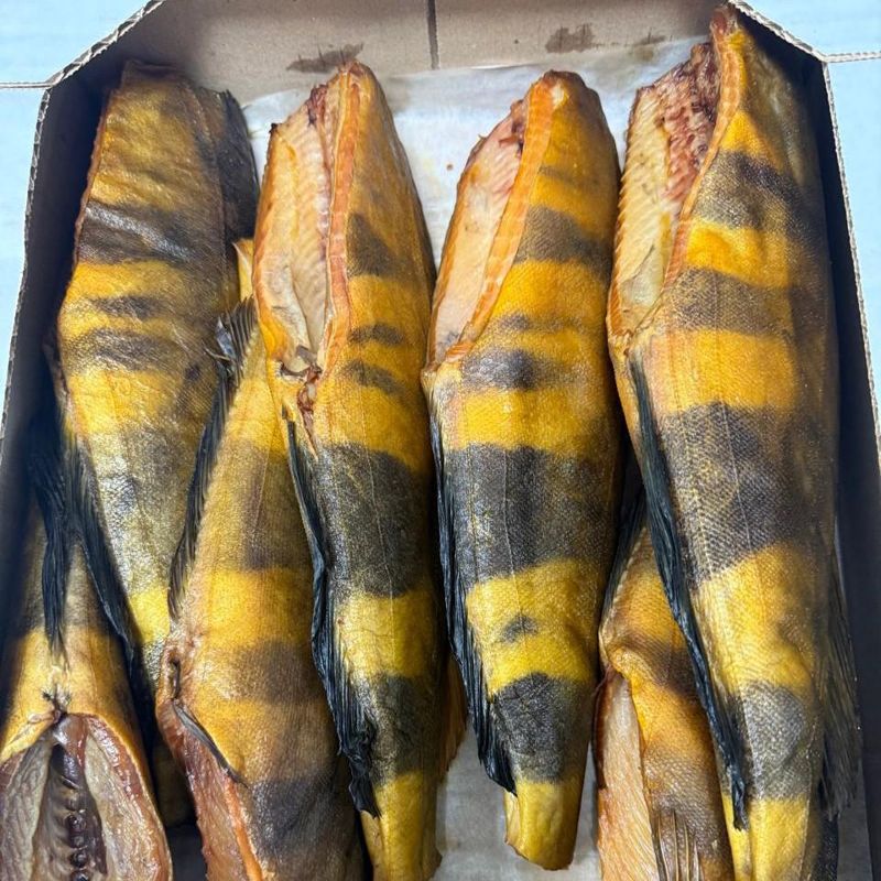 Терпуг х/к балык 