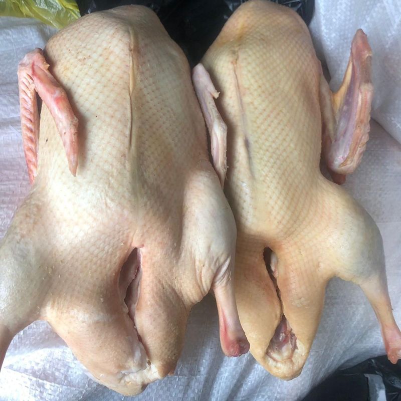 Утка домашняя, Тамбовская область, 2.5-3.5 кг 