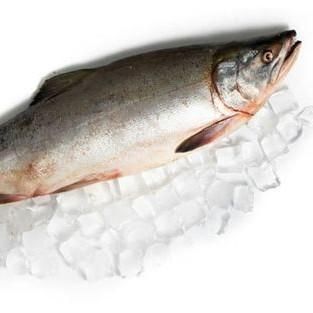 Горбуша с/м, ВЫЛОВ 2025 ГОДА 