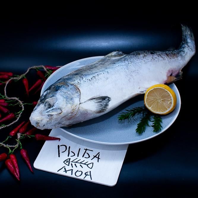 Горбуша с/м 