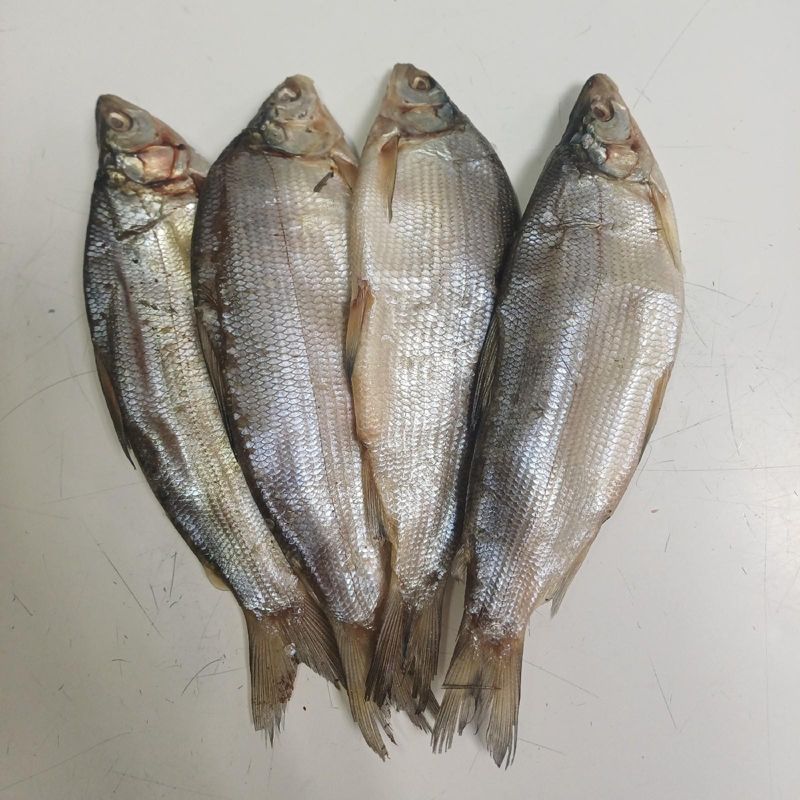 Пелядь вяленая КРУПНАЯ 