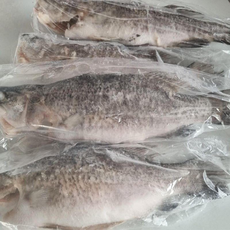 БАРРАМУНДИ (Свежемороженая, потрашеная) 