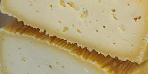 ludmilacheese 